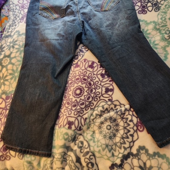 Lane Bryant rainbow boyfriend cropped denim jeans Size 18 - Picture 10 of 14